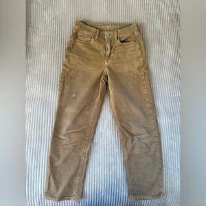 American Eagle Outfitters Tan Corduroy Short Pants